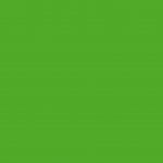 6045 - Irish Green
