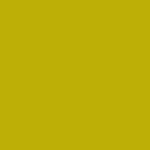 Cinnabar Yellow Brown 204