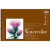 Strathmore 400 Series Watercolor Pads - 12 x 18 in Cold Press 300gsm (140lb)