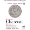 Strathmore 500 Series Charcoal Pads - Assorted 12 x 18 in 95gsm (64lb)