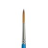 Winsor and Newton Cotman Watercolor Brushes - Designers Round Size 6