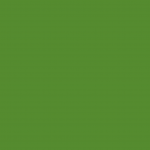 Iridescent Leaf Green