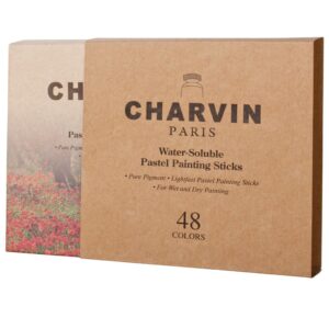 Charvin Painting Sticks Set of 48 Packaged